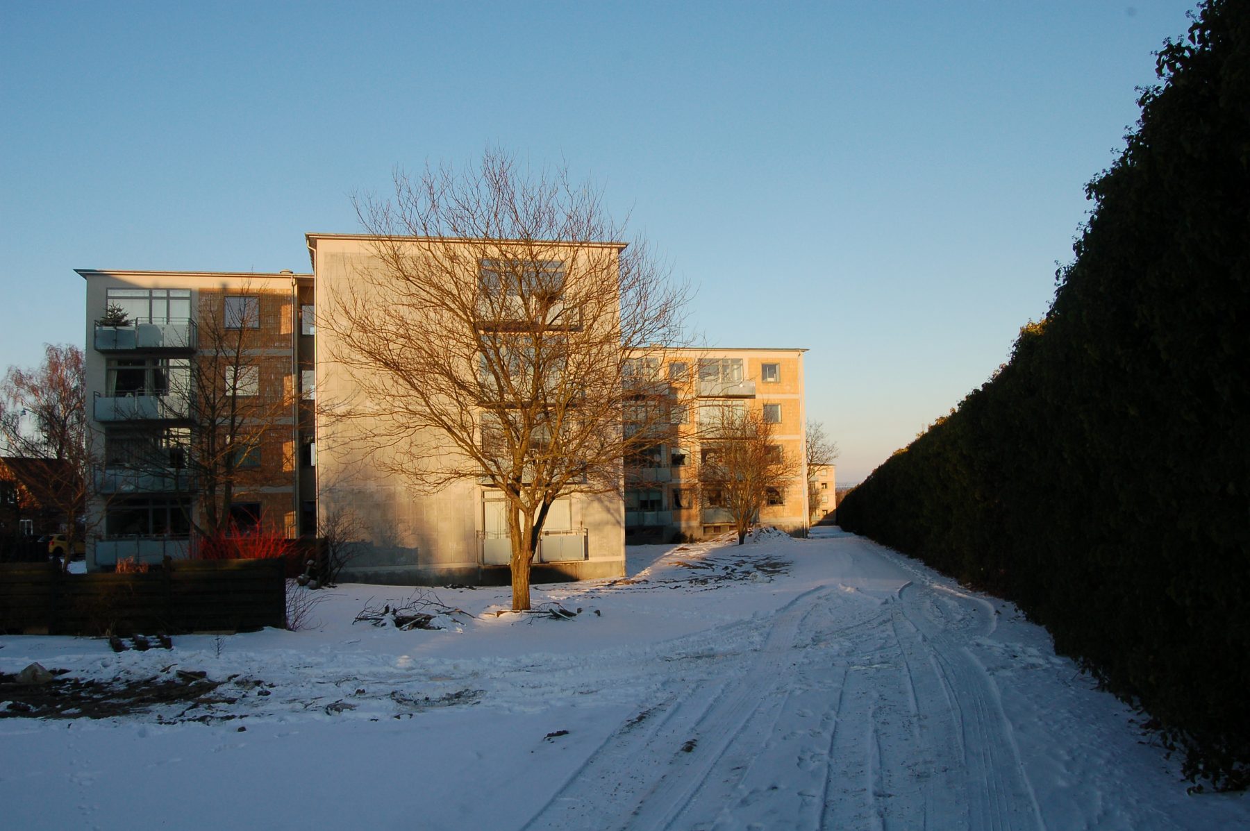 AAB, afd. 19, Vorrevangsparken, Aarhus - blokke