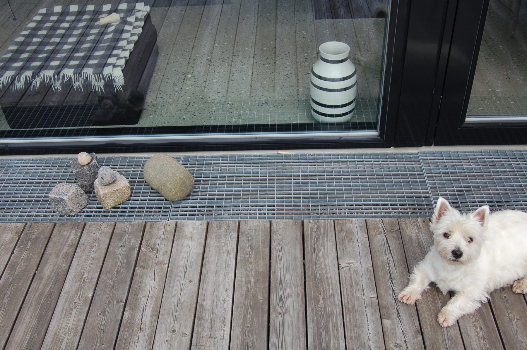 Enkeaardslunden, Maarlset - terrasse og hund