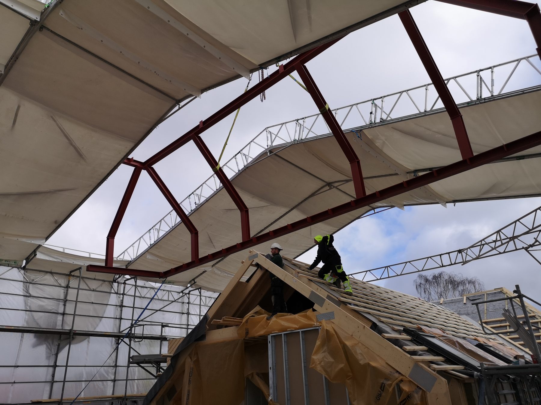 IMG_20200219_123134 RHE